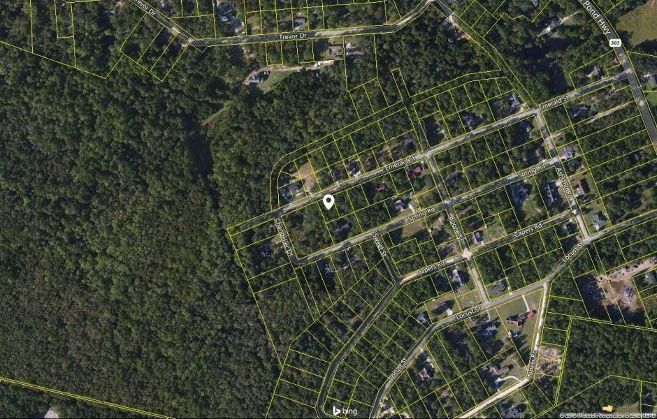 0 Emerald Street Walterboro, SC 29488 - Photo 1 of 6 0 emerald 6