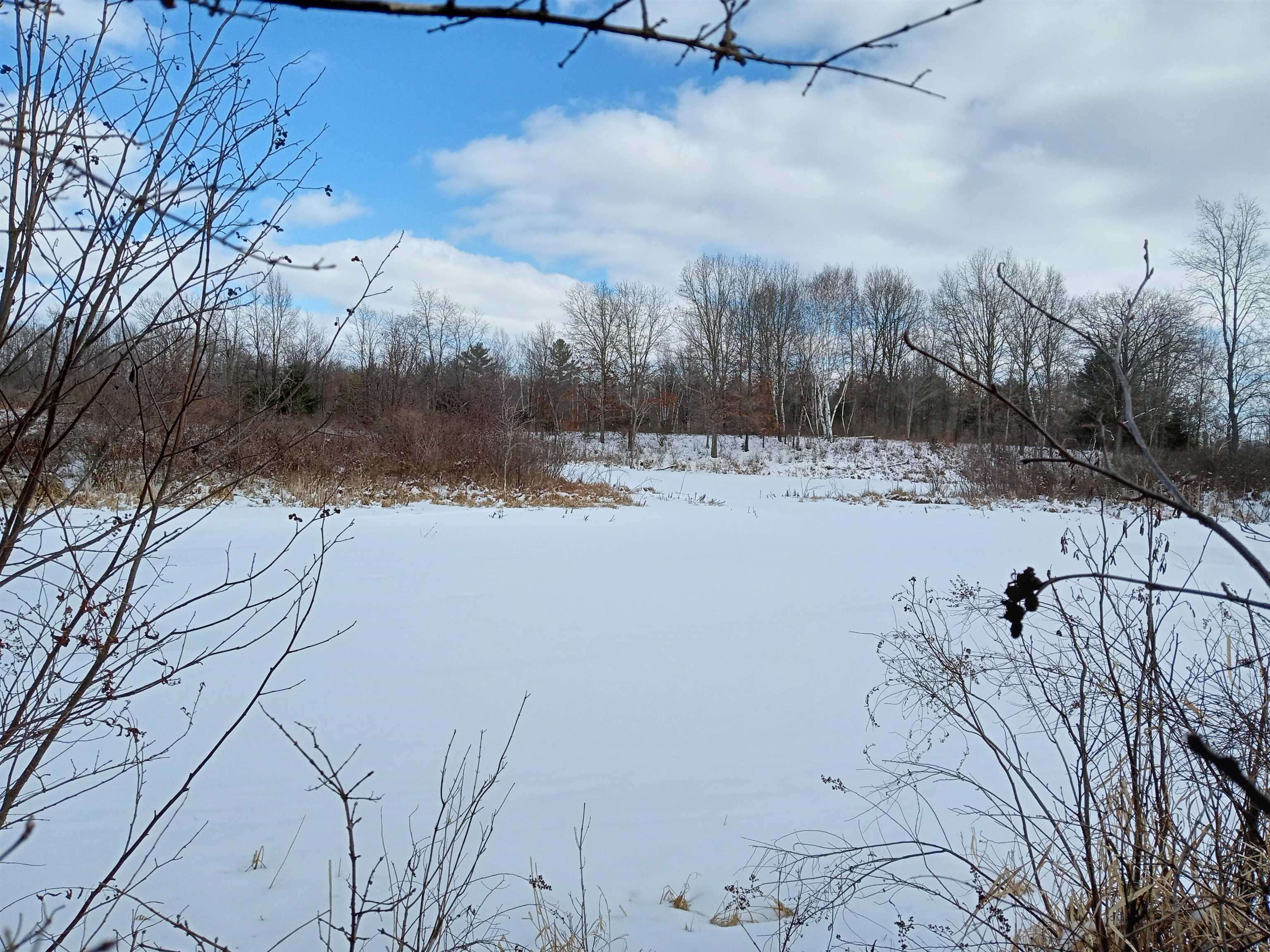 Tbd Roosevelt Road Remus, MI 49340 - Photo 10 of 27 1897397-9.JPG