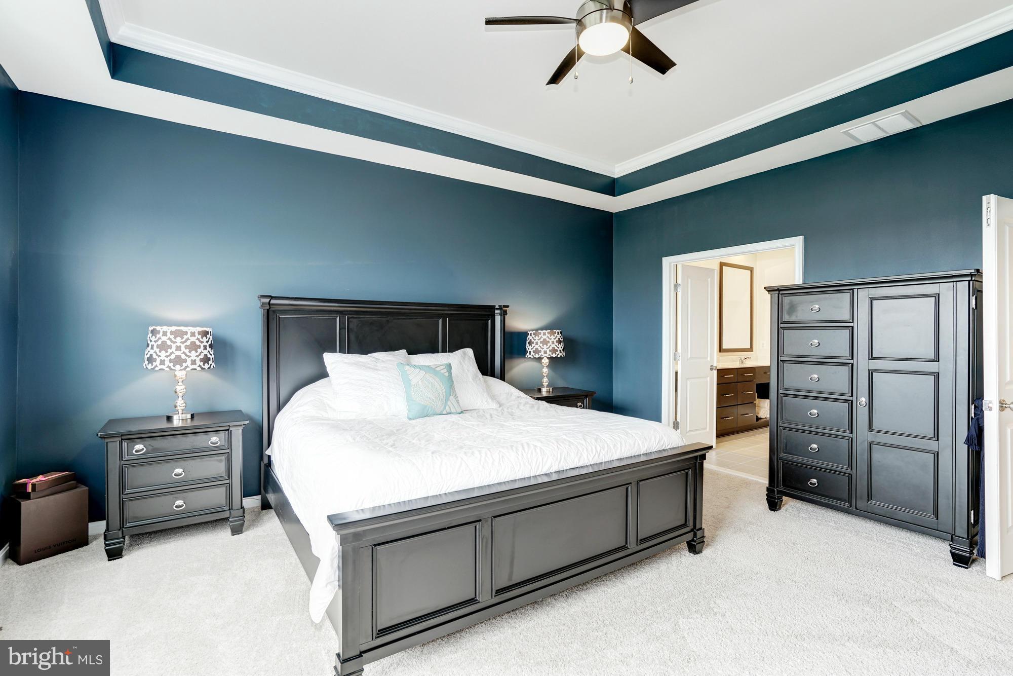 42277 Riggins Ridge Terrace Ashburn, VA 20148 - Photo 17 of 30 a bedroom with a bed and a cabinets