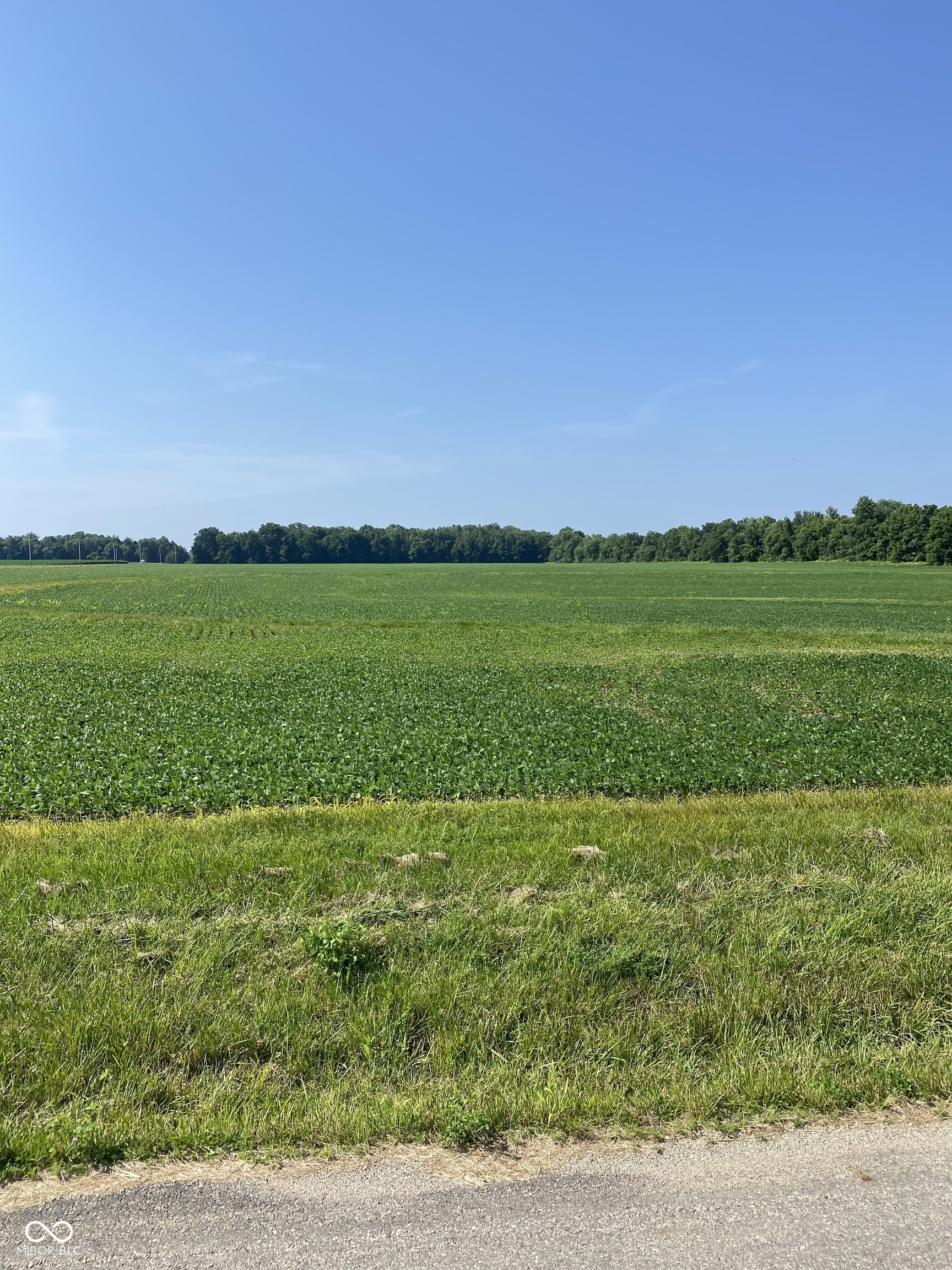 6879 Slab Road Rockville, IN 47872 - Photo 2 of 5