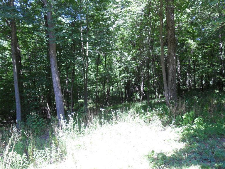 1417 Mixer Road Hastings, MI 49058 - Photo 17 of 18 Additional Photo