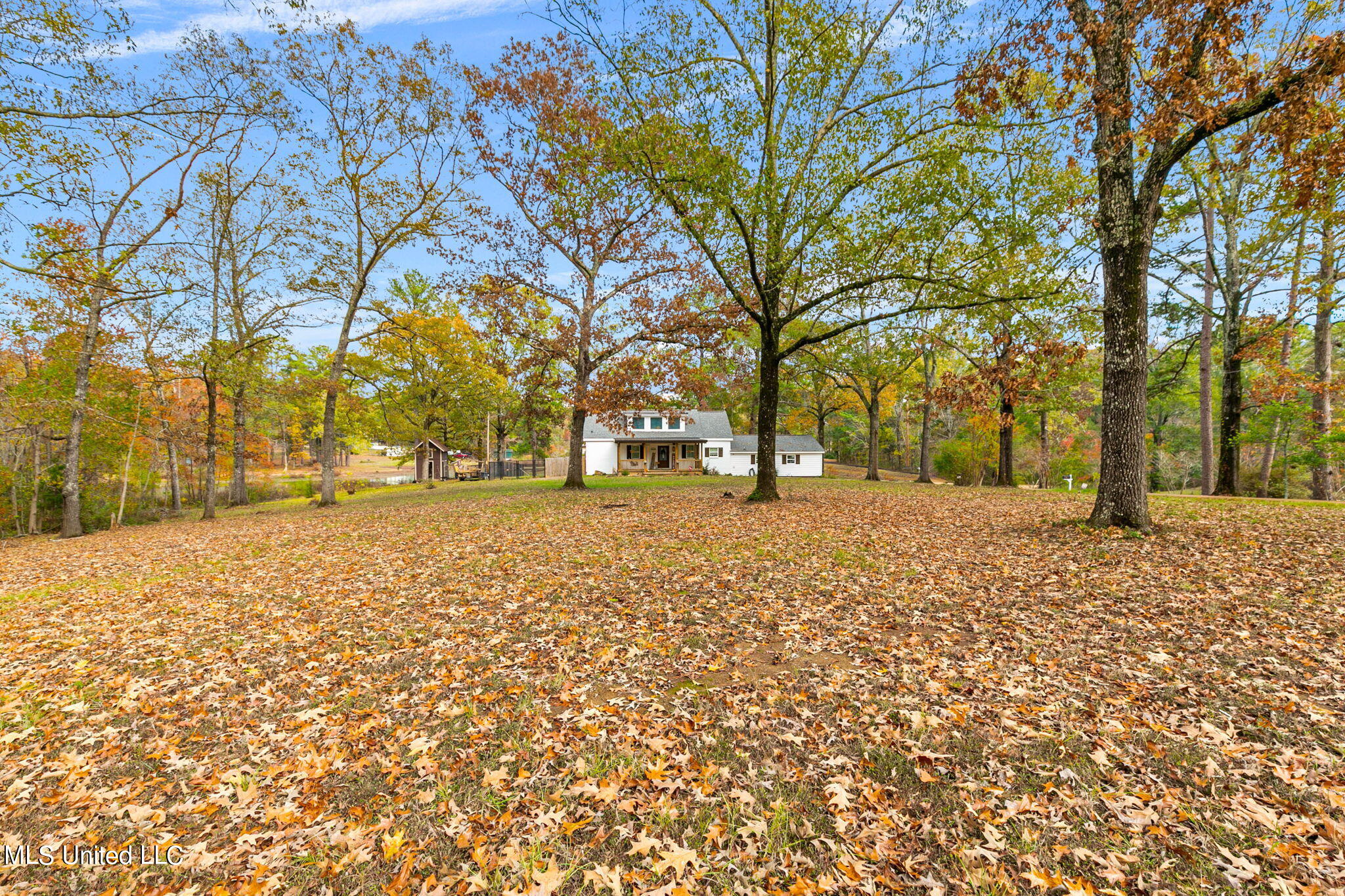 404 El Dorado Road Pearl, MS 39208 - Photo 3 of 87 3-web-or-mls-404 El Dorado-3