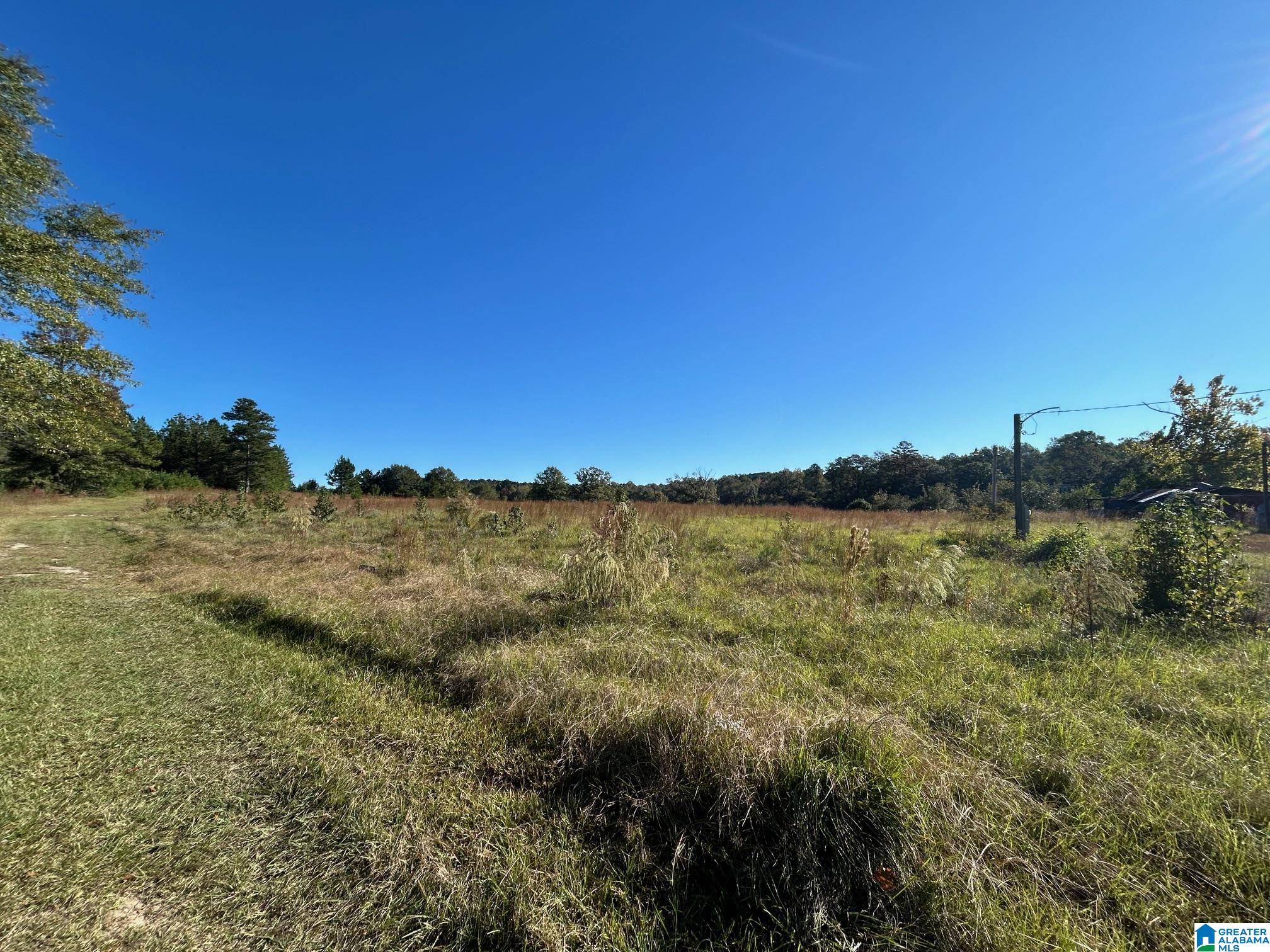 0 Rockyview Road, Unit X West Blocton, AL 35184 - Photo 10 of 11