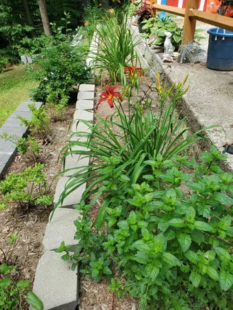 $330,000 | 39 Longwood Drive, Swanzey, NH 03446