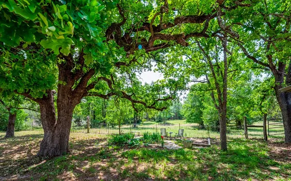 $895,000 | 298 Jenkins Road, Cedar Creek, TX 78612