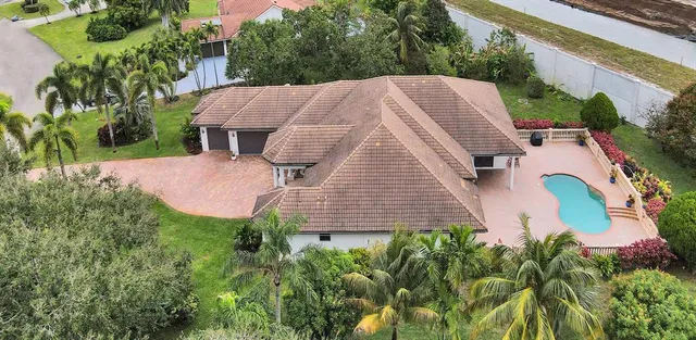 a view of a garden with plants