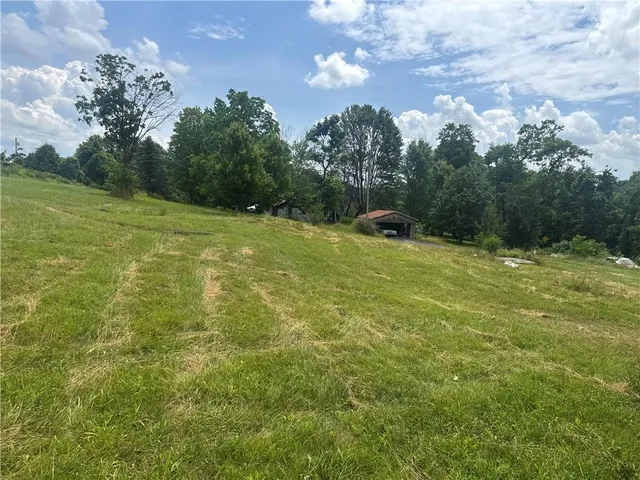 a view of a field with an trees in the background
