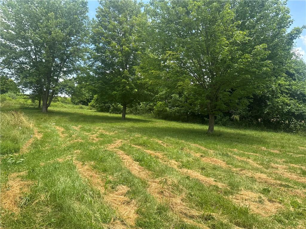 218 Hatfield Road Smock, PA 15480 - Photo 6 of 15 a view of a field with trees in the background
