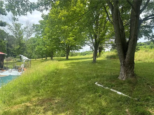 a backyard of a house with lots of green space