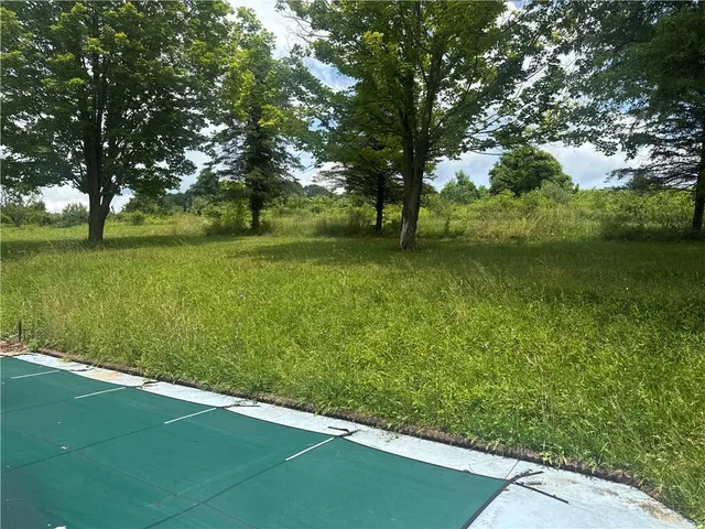 a view of a trees with a yard