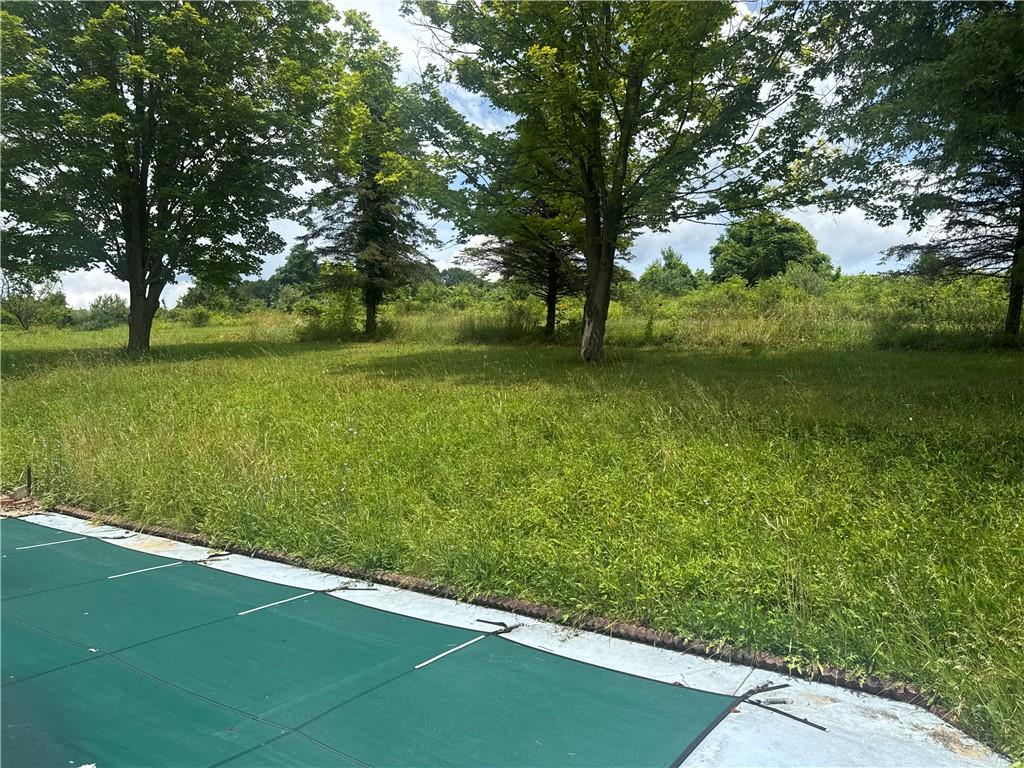 218 Hatfield Road Smock, PA 15480 - Photo 9 of 15 a view of a trees with a yard