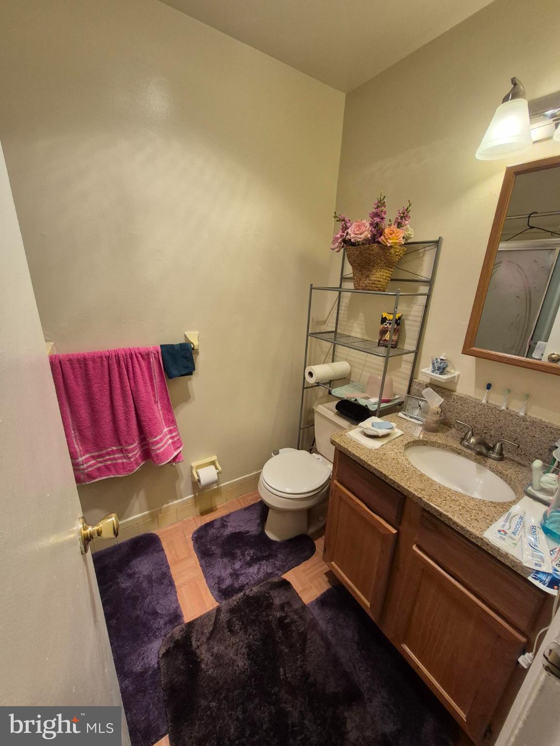 3850 Woodhaven Road, Unit 302 Philadelphia, PA 19154 - Photo 8 of 12 Charming bathroom with vibrant accents.