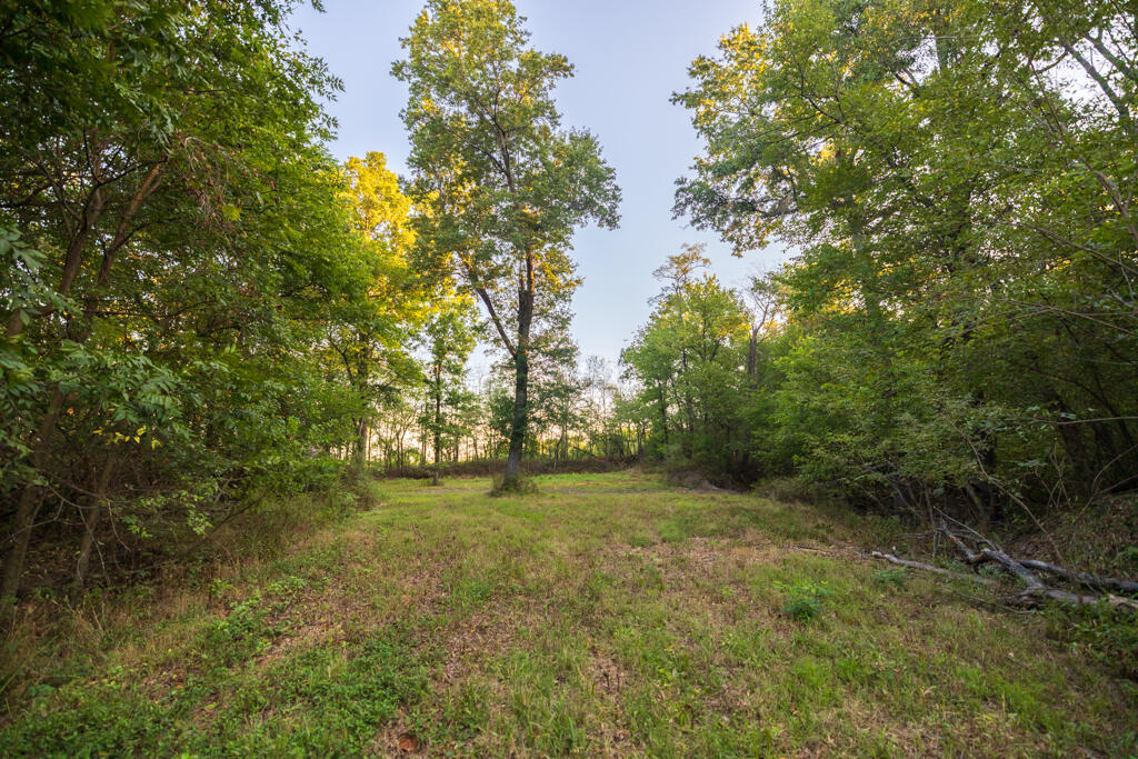 2395 Southwest County Road Hume, MO 64752 - Photo 80 of 81 Bates 50 (MLS)-5287