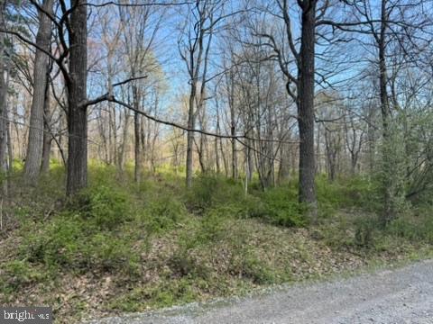Lot On South Mountain Road Port Matilda, PA 16870 - Photo 11 of 11