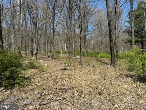Lot On South Mountain Road Port Matilda, PA 16870 - Photo 3 of 11