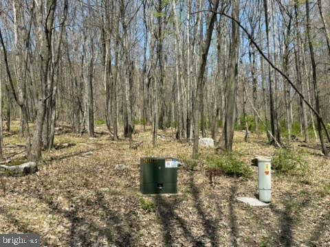Lot On South Mountain Road Port Matilda, PA 16870 - Photo 4 of 11
