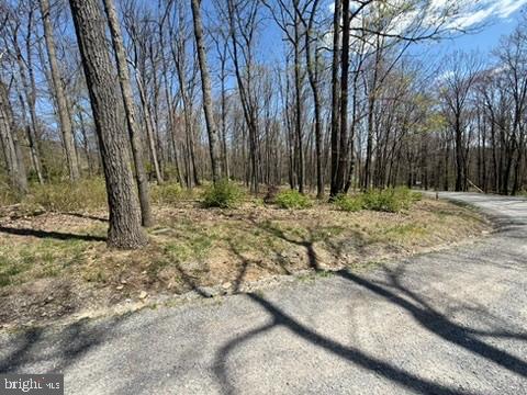 Lot On South Mountain Road Port Matilda, PA 16870 - Photo 5 of 11