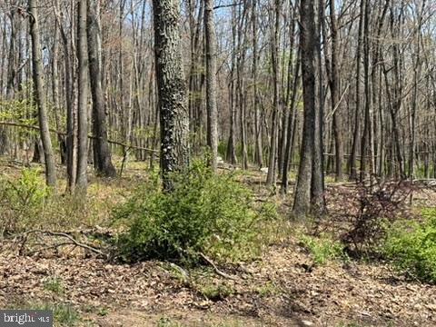 Lot On South Mountain Road Port Matilda, PA 16870 - Photo 6 of 11
