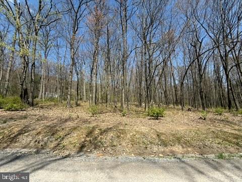 Lot On South Mountain Road Port Matilda, PA 16870 - Photo 7 of 11