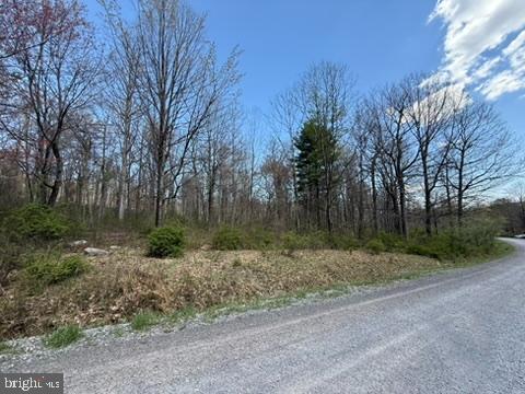 Lot On South Mountain Road Port Matilda, PA 16870 - Photo 9 of 11