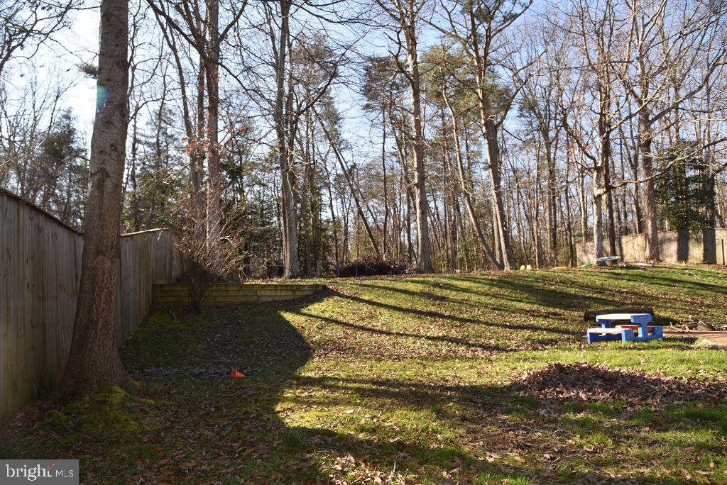 1323 Wilson Road Waldorf, MD 20602 - Photo 24 of 26 Yard
