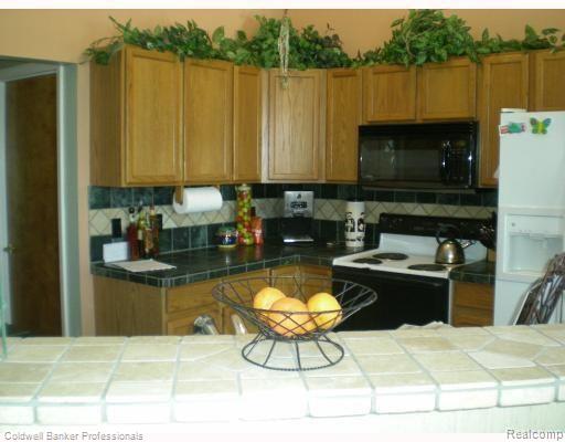 4288 Ridge Court Pinckney, MI 48169 - Photo 6 of 8 kitchen