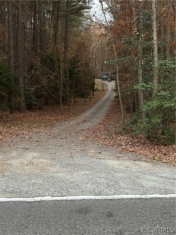 11434 Pinhook Road Rockville, VA 23146 - Photo 35 of 35 Driveway view to the house from the road. Very private.