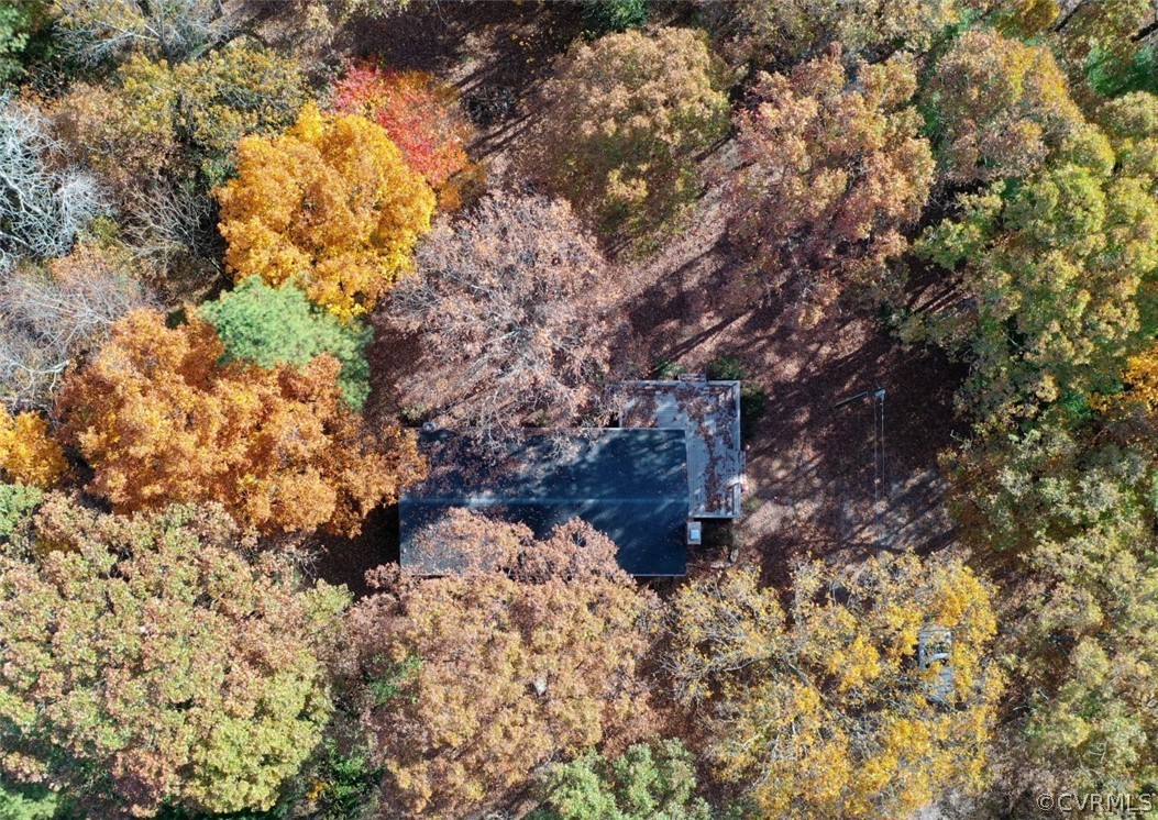 11434 Pinhook Road Rockville, VA 23146 - Photo 7 of 35 Aerial picture of the home nestled in Oak trees