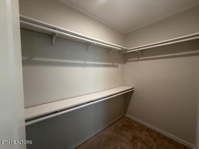602 Reed Drive Powell, TN 37849 - Photo 17 of 23 Gallery Image 17