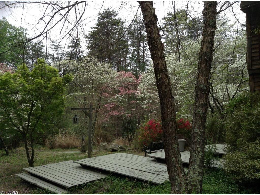 5078 Bunch Road Summerfield, NC 27358 - Photo 3 of 17 View in Spring of Orchard in the front