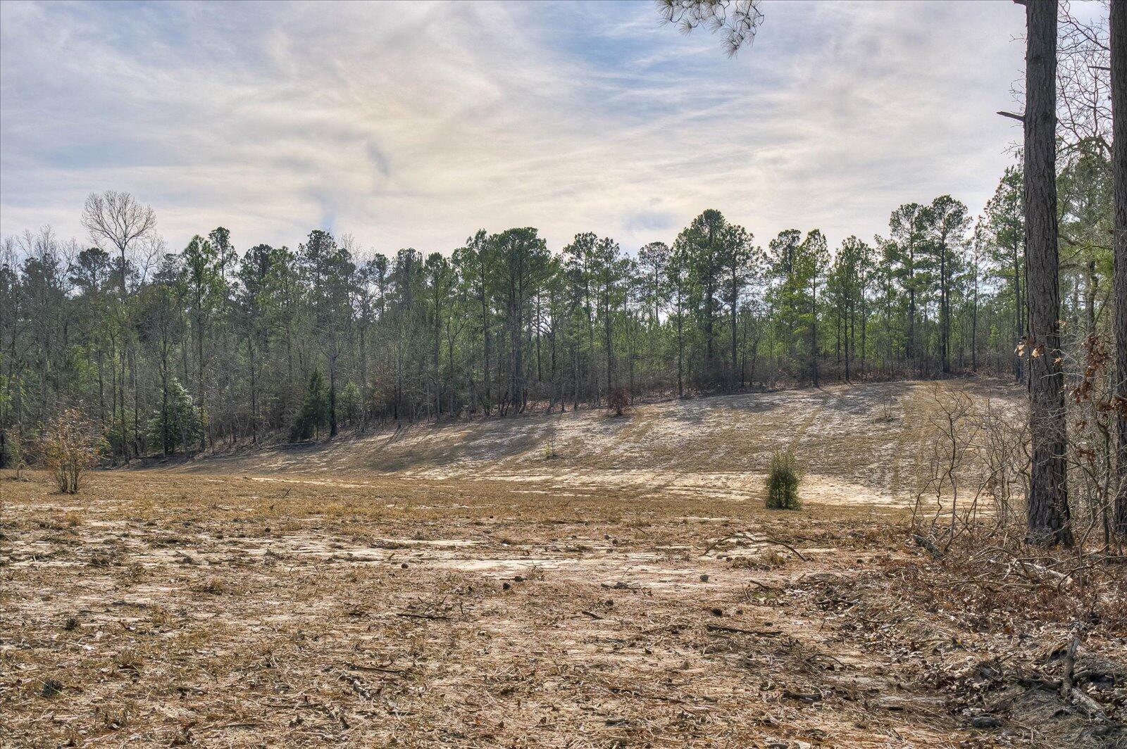 257 Biscayne Road Aiken, SC 29803 - Photo 32 of 37