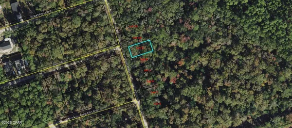 $12,000 | Lot 9 Fig Tree Lane, Crawfordville, FL 32327