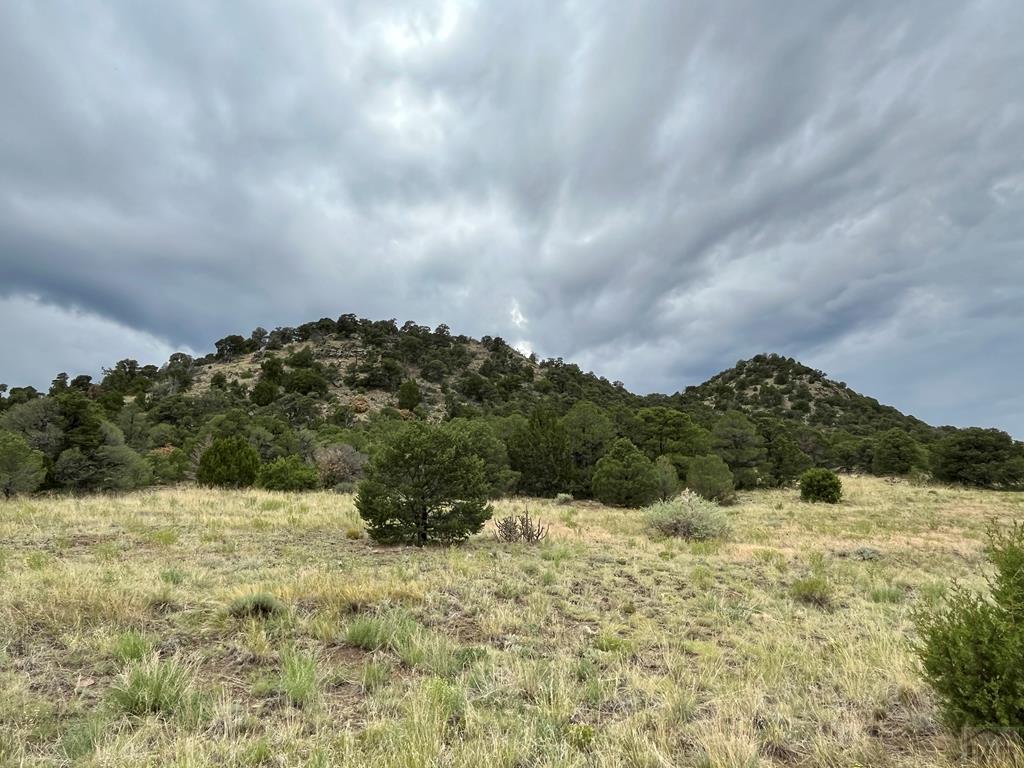 Tbd Ketchum Road Walsenburg, CO 81089 - Photo 6 of 22