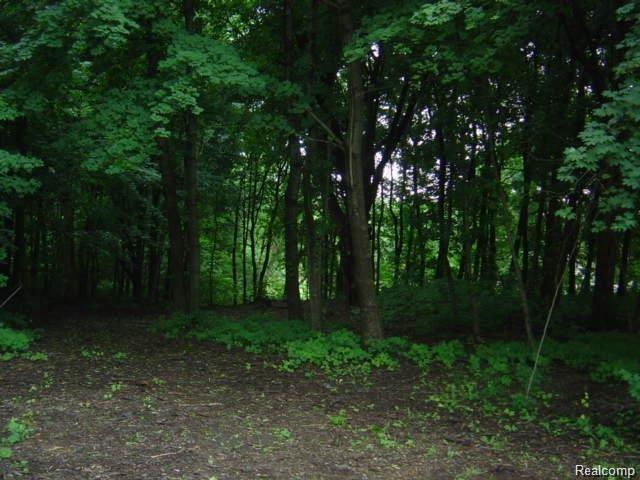 Vac Foster Road Clarkston, MI 48346 - Photo 1 of 2 GORGEOUS SETTING