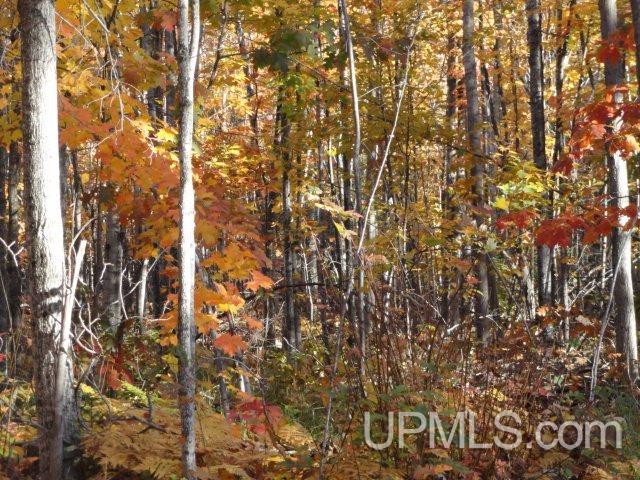 Tbd Tbd Off Townline Road Lanse, MI 49946 - Photo 4 of 18