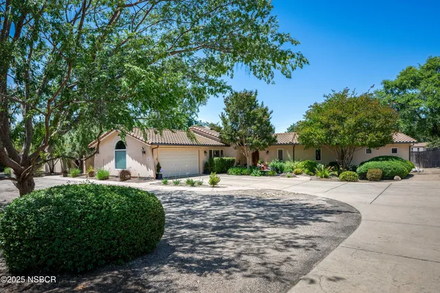 a white house that has a tree in front of it