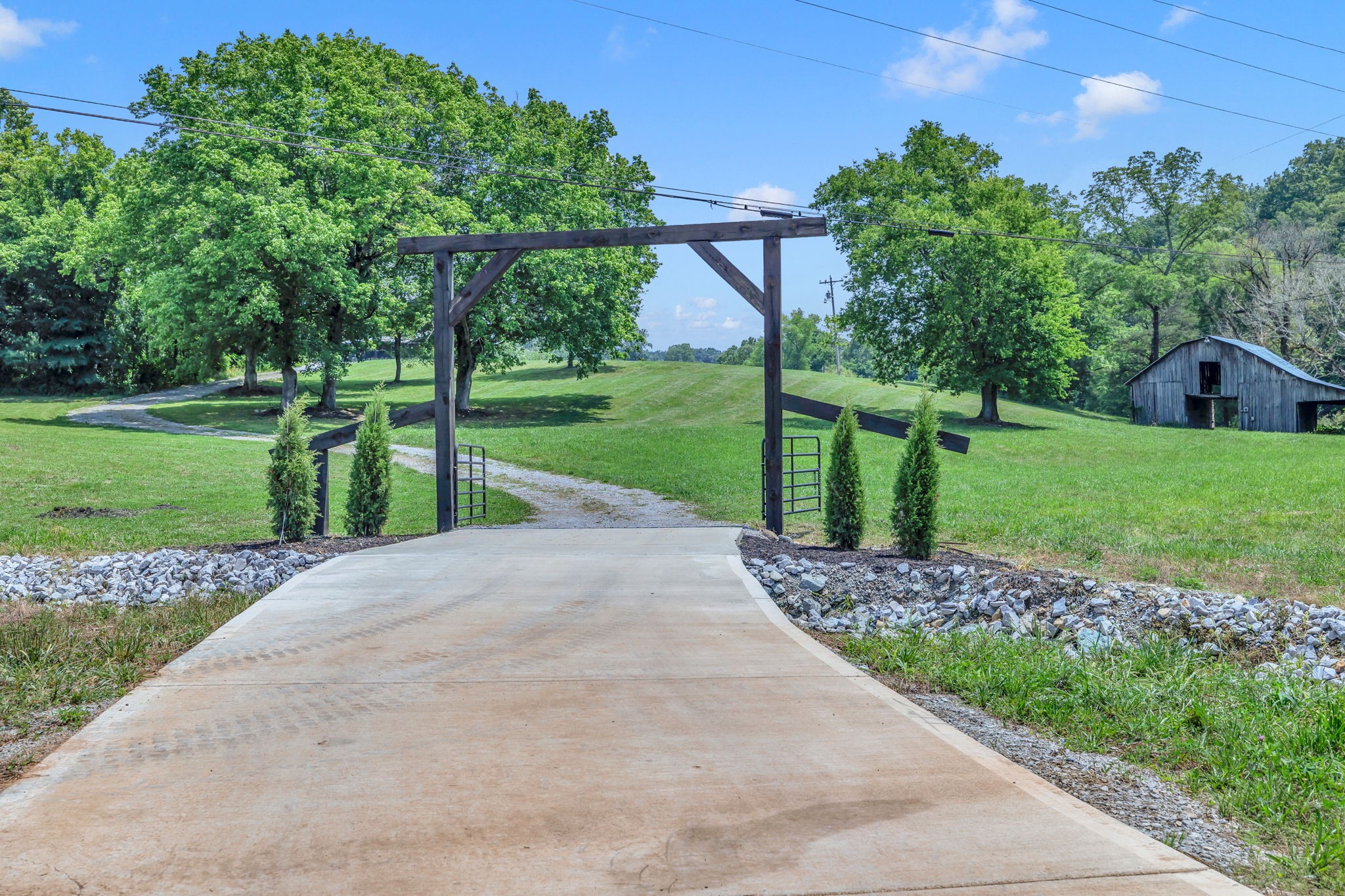 232 Waterloo Road Lawrenceburg, TN 38464 - Photo 40 of 46 a view of a park with plants and large trees
