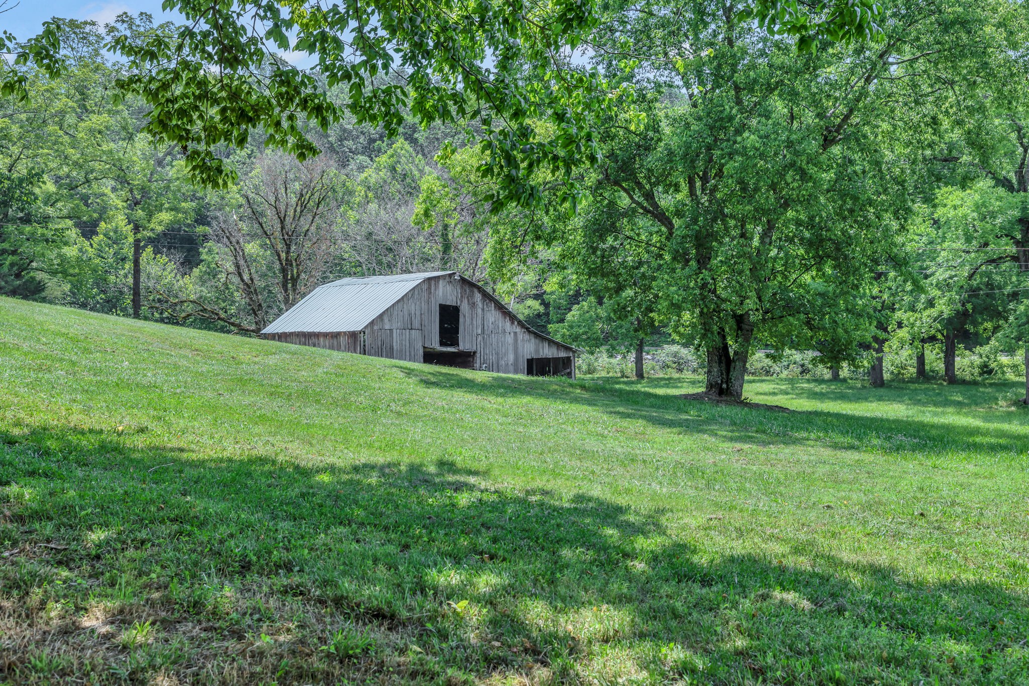 232 Waterloo Road Lawrenceburg, TN 38464 - Photo 42 of 46 a view of backyard with green space