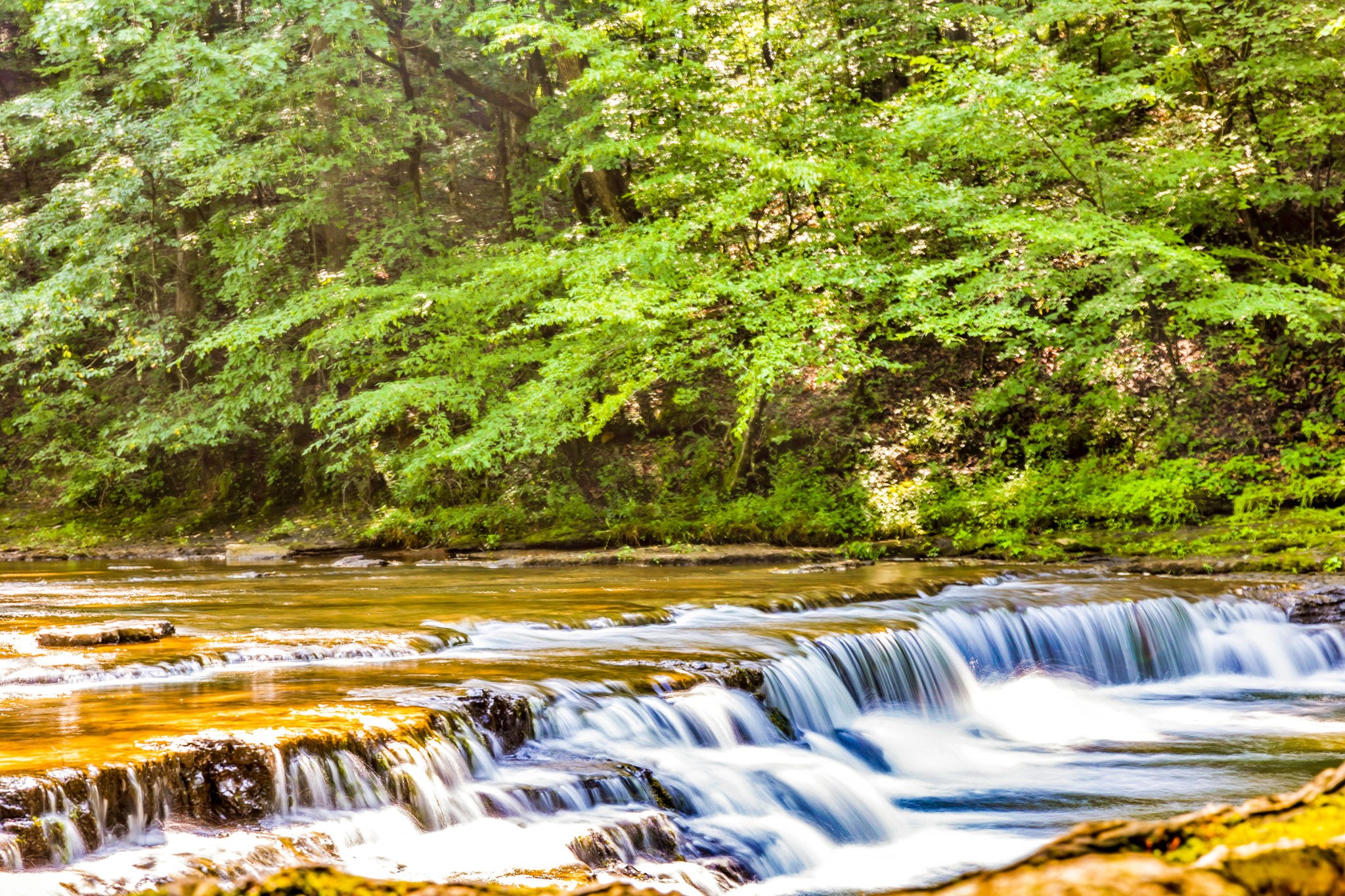 232 Waterloo Road Lawrenceburg, TN 38464 - Photo 46 of 46 a view of swimming pool with a yard