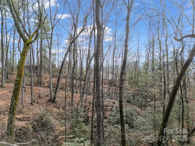 $55,000 | 17 Maple Leaf Drive, Hendersonville, NC 28739