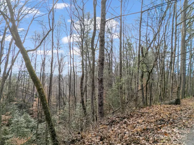 $55,000 | 17 Maple Leaf Drive, Hendersonville, NC 28739