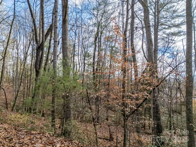 $55,000 | 17 Maple Leaf Drive, Hendersonville, NC 28739