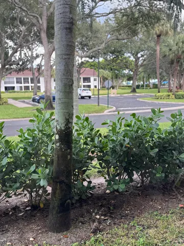 a living room with a table and chairs