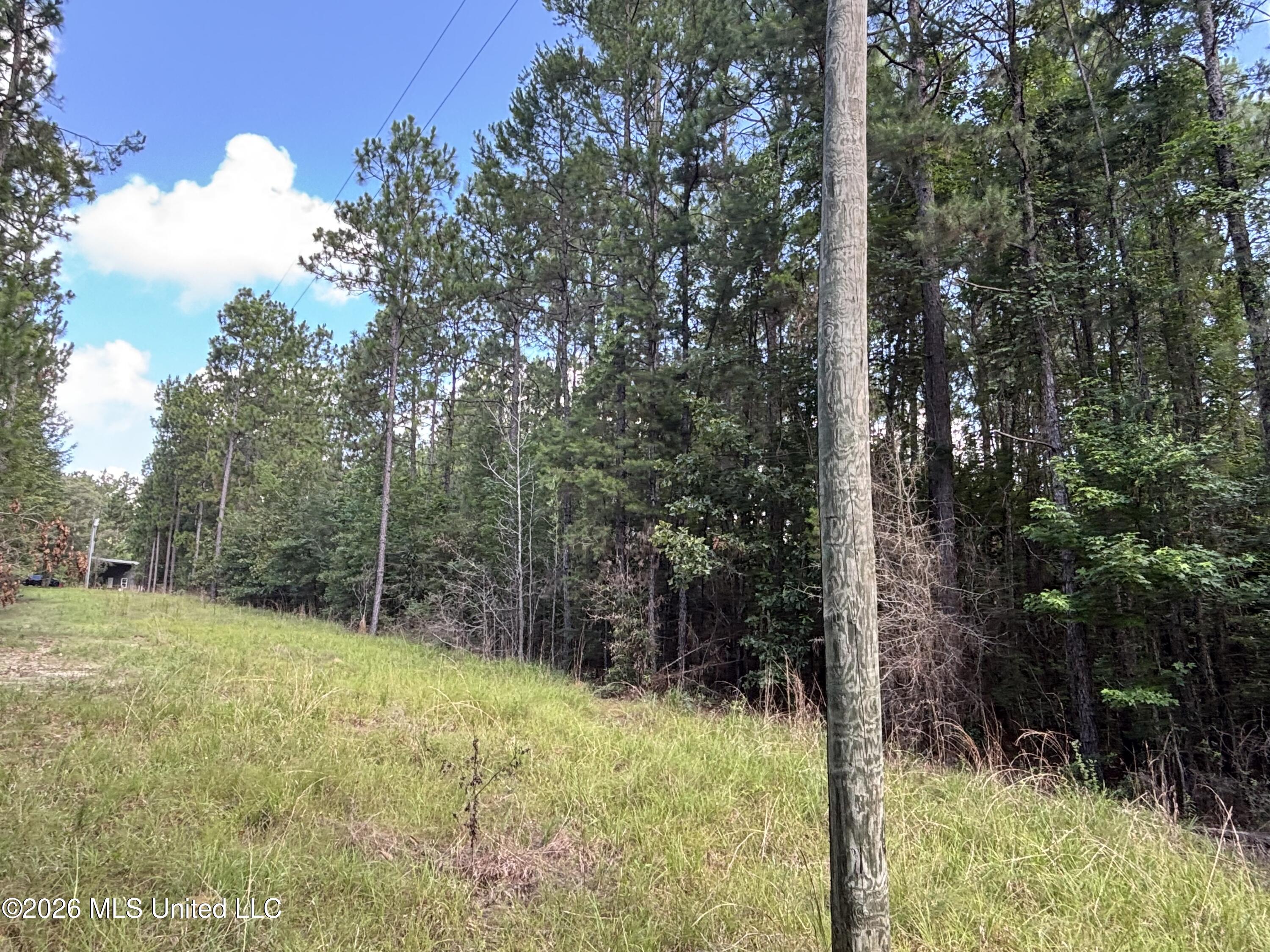 202 Smith Road Lumberton, MS 39455 - Photo 26 of 32 IMG_2967