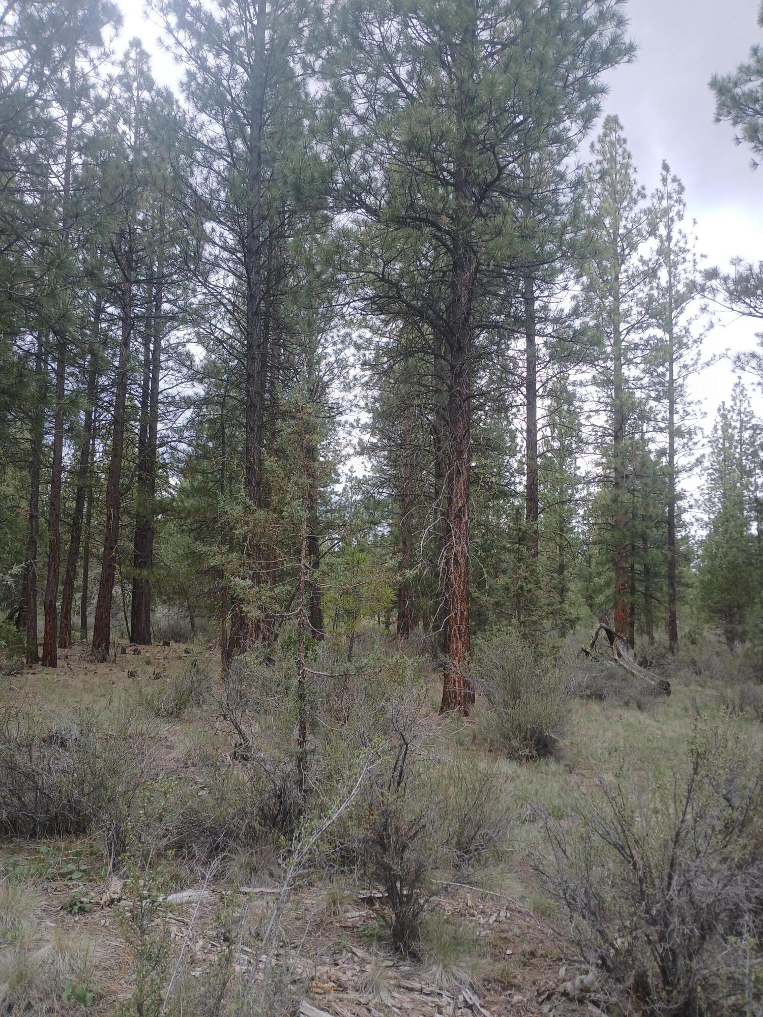 0 Tableland Road Chiloquin, OR 97624 - Photo 3 of 18 20260427_141539