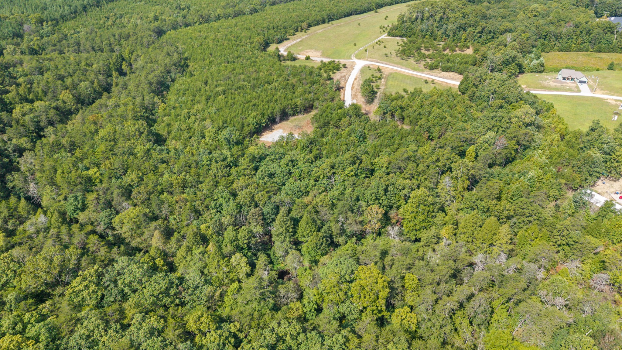 54 Creekview Lane Altamont, TN 37301 - Photo 4 of 9 a view of a small yard