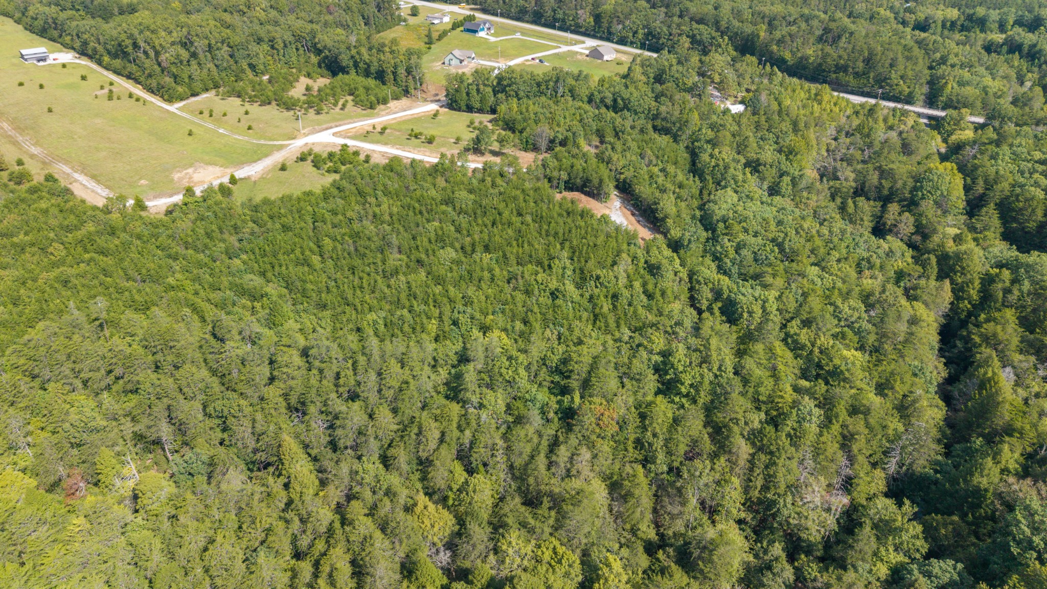 54 Creekview Lane Altamont, TN 37301 - Photo 5 of 9