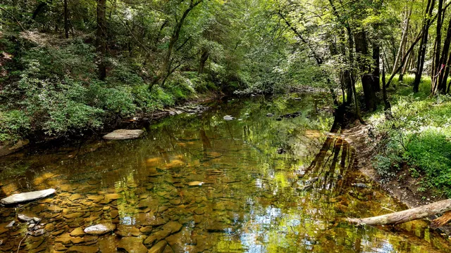 a view of a lake with a mountain