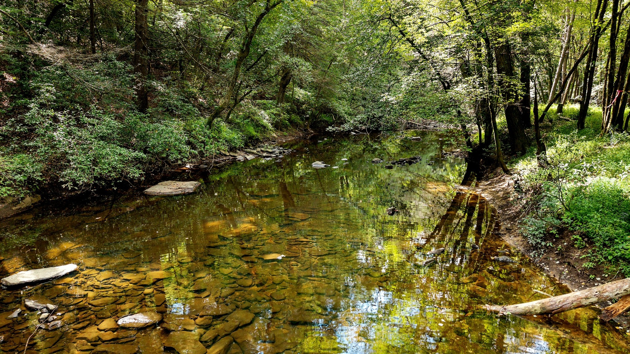 54 Creekview Lane Altamont, TN 37301 - Photo 6 of 9 a view of lake