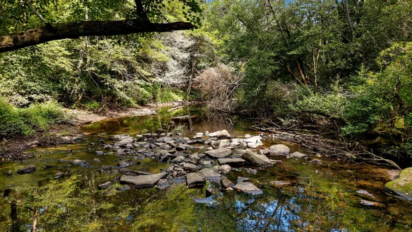 a view of under an umbrella